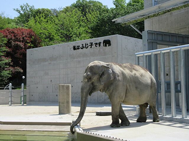 岡崎市東公園 動物園